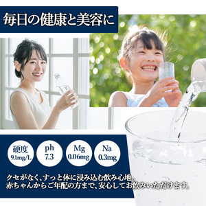 ナチュラル ミネラル ウォーター 雪舟 500ml (計24本) 国産 鉱泉水 お水 ドリンク 大自然 天然 料理 健康 維持 防災 常温 保存 単品【HD248】【さいき本舗 城下堂】