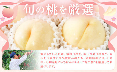 桃 贈答用 no.1 約2kg 6~8玉 清水白桃や白鳳など 小寺壽夫
