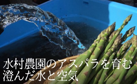【2026年先行予約】飛騨のごちそうアスパラ L-2Lサイズ 500g アスパラガス syun77 