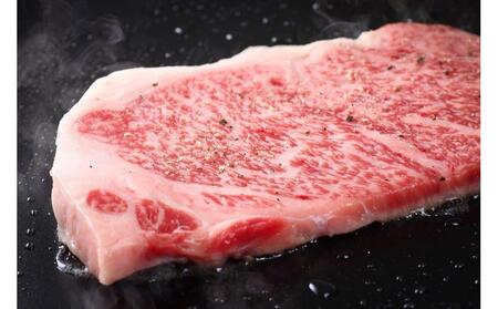 【定期便全6回】博多和牛【A4～A5】（ヒレ150g＆サーロイン250g）　各1枚　計400g