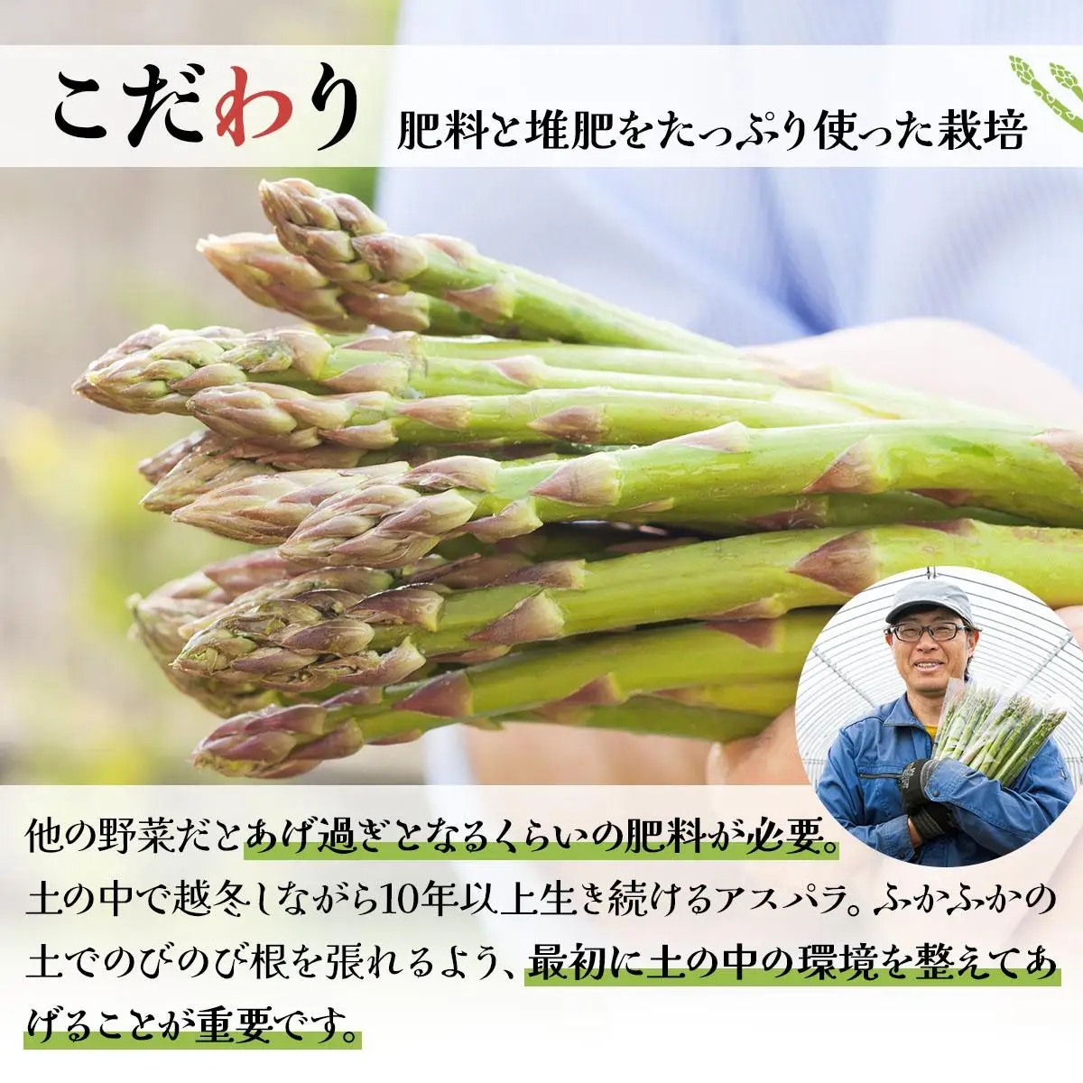 ＜先行予約＞あまーい！北海道産夏アスパラ(A品) 1kg【ffk-003】