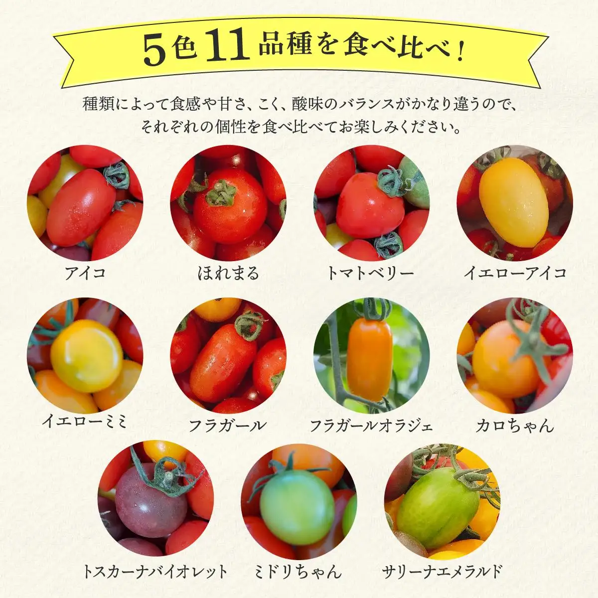 ＜先行予約＞カラフルミニトマトセット1.5kg【ffk-002】