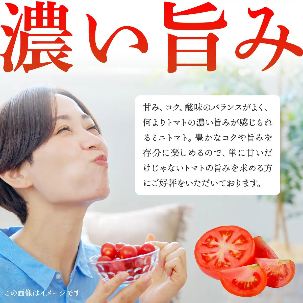 ＜先行予約＞ミニトマト ほれまる 1.5kg【ffk-001】