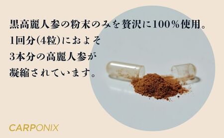 黒高麗人参「CARPONIX」4粒入り×30袋 サプリメント サプリ 黒高麗人参 カプセル ジンセノサイド 千葉市