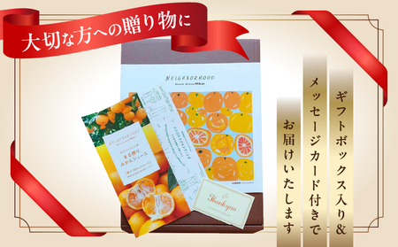 果汁 100％ まる搾り みかん ジュース 1000ml×2本 専用ギフトボックス入り 機能性表示食品 飲料 ソフトドリンク 果物 フルーツ 柑橘 シャーベット 国産 人気 おすすめ ギフト おすそ分け お土産 贈り物 贈答 プレゼント 宮崎県 日南市 送料無料_C147-25