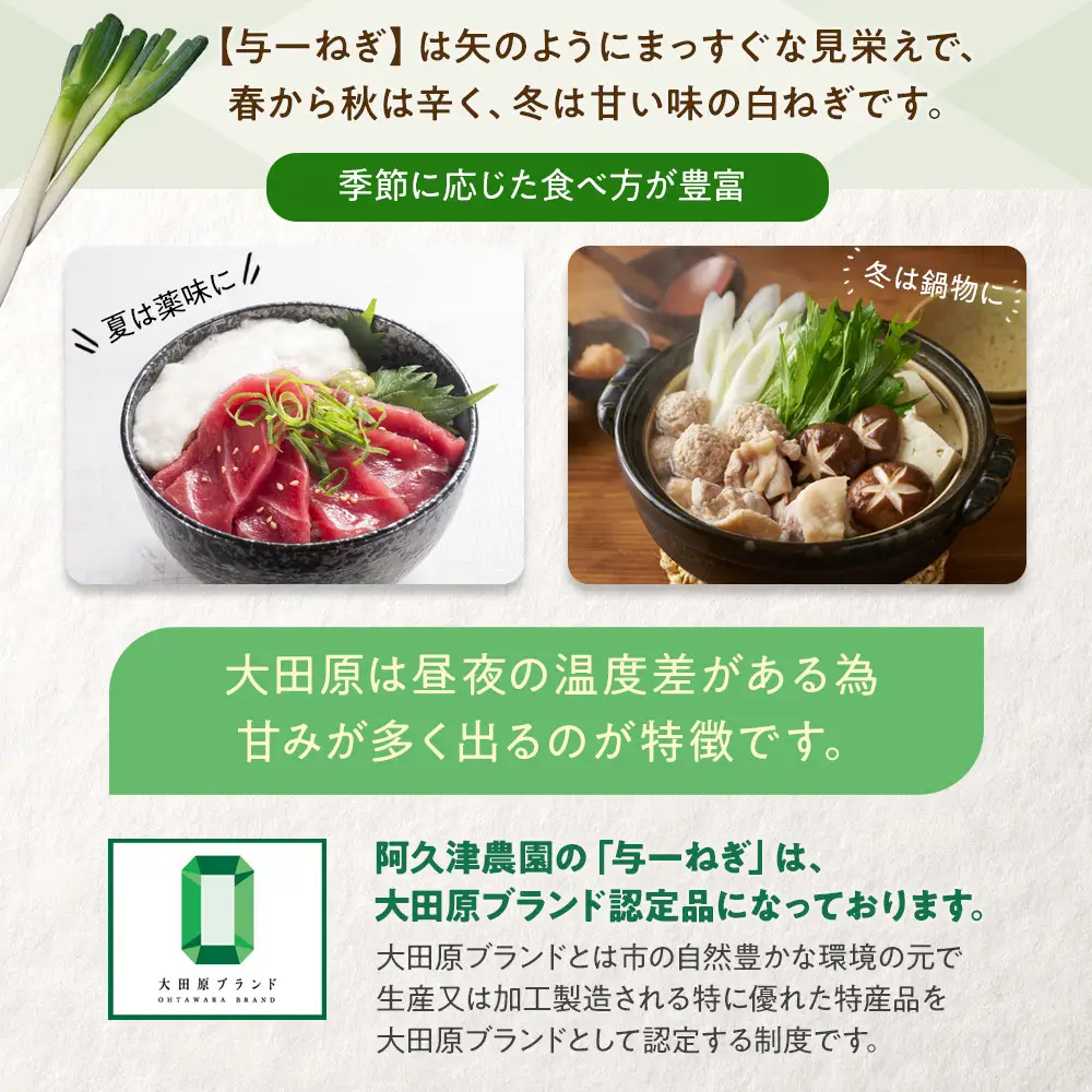 与一ねぎ 2Lサイズ（27本） ｜野菜 ネギ 農家直送 産地直送 産直 大田原ブランド 栃木県 大田原市
