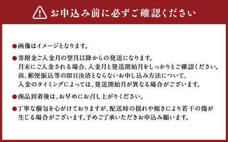 【6か月隔月定期便】旬の熊本フルーツ単品定期便 熊本県産 果物 毎月お届けギフト