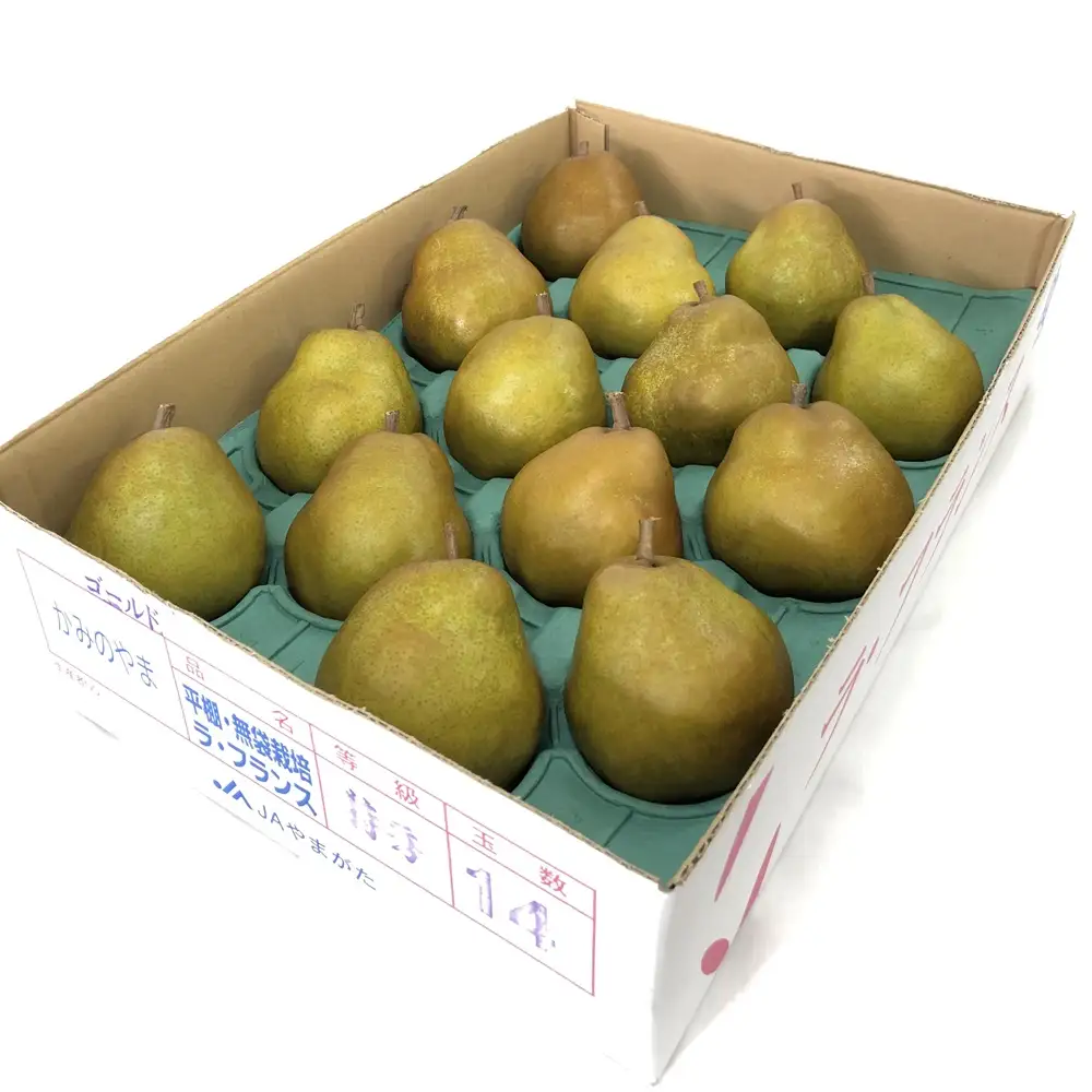 西洋梨（ゴールドラ・フランス）５ｋｇ　１２～１６玉　特秀品　0060-2614
