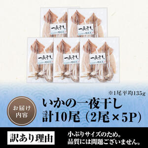 ＜訳あり＞ いかの一夜干し (計10尾) 魚介 いか イカ 烏賊 一夜干し 冷凍 おつまみ つまみ スルメイカ するめいか するめ 国産 小分け 【opar003】【磯武】