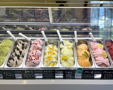 メグジェラート　12個 ｜ アイスクリーム ジェラート 相模原 津久井 お取り寄せ スイーツ デザート ギフト 誕生日 プレゼント 内祝 母の日 父の日 お中元 お歳暮 神奈川県 相模原市