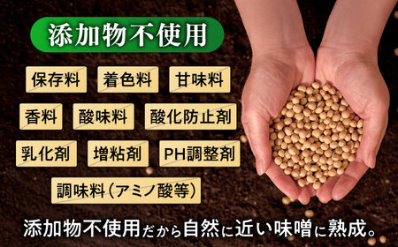 米味噌 1kg×4P[BGAU008] 手作り味噌 みそ