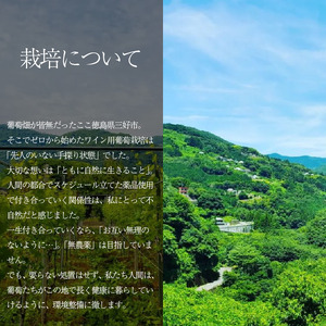 【醸造所 直送】 こだわり 国産 ワイン 750ml 6本 ぶどう【 ワイン 】