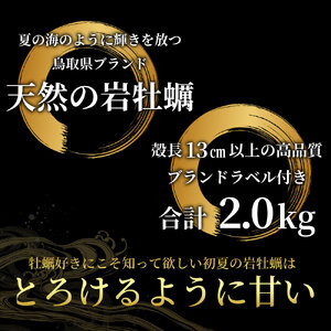 OM-28　岩牡蠣「夏輝」(約2kg)