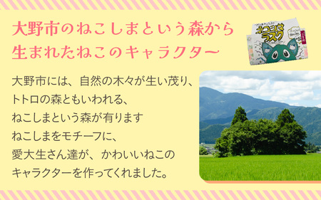 ねこしまラスク（どら焼きラスク）【学生さんとのコラボ返礼品】