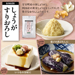 北海道十勝芽室町　簡単便利 薬味3種セット（にんにく・しょうが・わさび）各100g×3種 ワサビ わさび 山葵 ショウガ しょうが 生姜 にんにく 調味料 おつまみ 味付け 薬味 北海道 十勝 芽室町 me011-009c