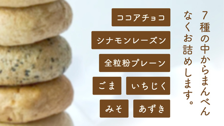 【 訳あり 】 おまかせ ベーグル 14個セット