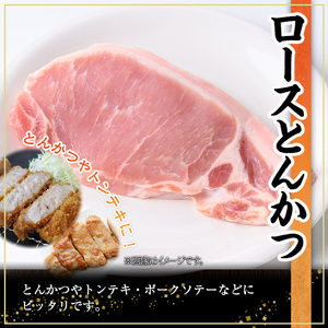 鹿児島県産 豚肉 ロース とんかつ 小分け (計1.6kg・100g×16P)【株式会社羽根】A722