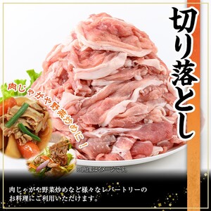 鹿児島県産 豚肉 バラエティ セット (合計3.8kg)【株式会社羽根】A729-v01