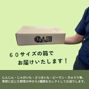 鉾田市旬のお野菜 訳あり（1kg）
