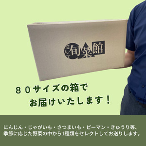 鉾田市旬のお野菜 訳あり（2kg）