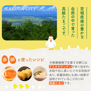 おおえだファーム アスタキサンチン卵（赤）Lサイズ 30個入り 卵