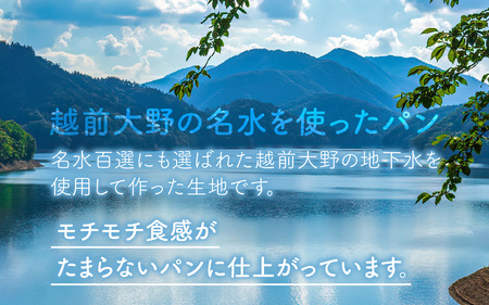 【3ヶ月定期便】【訳あり】お手軽！もったいないパンセットA(10個)