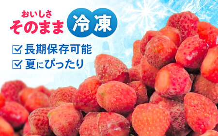 【完熟の恵み、ぎゅっと冷凍！】冷凍いちご「ゆめのか」 M-Lサイズ 1.5kg(500g×3) / いちご イチゴ 苺 冷凍 冷凍いちご 冷凍フルーツ イチゴジャム / 諫早市 / むらたサービス [AHFA001]
