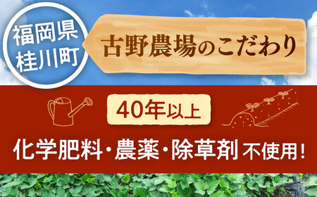 合鴨家族古野農場さつまいも（紅はるか）4kg 桂川町 [ADAL016] 焼き芋 サツマイモ 産地直送