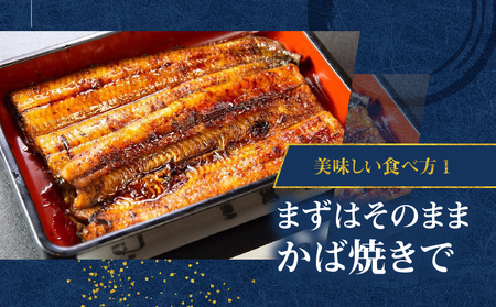 鹿児島県産！老舗うなぎ屋 の うなぎのかば焼き 2尾（ 並 ・ 100g以上 × 2パック ）【 贈答用 】 A040-009-02 うなぎ 鰻 ウナギ 蒲焼き かば焼き 惣菜 総菜 魚 魚類 うな丼 うな重 三昌亭 ふるさと納税 鹿児島 奄美市 おすすめ ランキング プレゼント ギフト