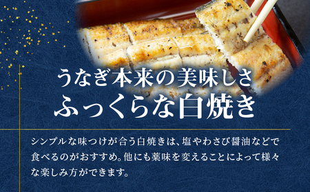 鹿児島県産！老舗うなぎ屋 の 紅白うなぎ！うなぎ の かば焼き 1尾（並・100g以上）×1パック・ 白焼き 1尾（並・100g以上）×1パック【 贈答用 】 A040-011-01 うなぎ 鰻 ウナギ 蒲焼き 惣菜 総菜 魚 魚類 うな丼 うな重 三昌亭 ふるさと納税 鹿児島 奄美市 おすすめ ランキング プレゼント ギフト