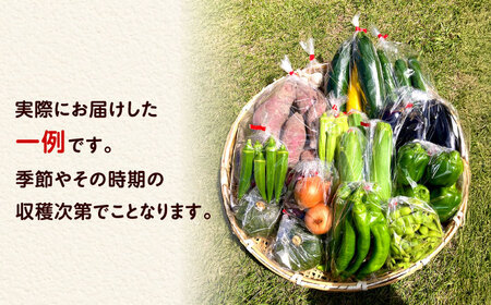 【全3回定期便】 米ぬかで育てた！旬のお野菜＆平飼い卵セット ベジ彩ファーム[AOEJ005] 野菜