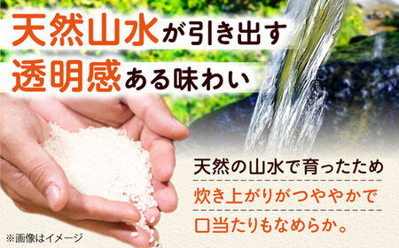 お米 令和7年産 キヌヒカリ 5キロ [AOEJ009] お米