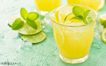 レモンシロップ 400ml×2個 レモン [XBY011]