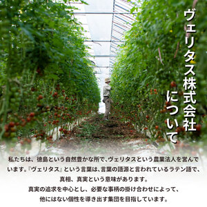 トマト ミニトマト 750g （ 250g × 3袋 ） フランティーノ アマイマリー チコ 小分け トマト トマト トマト