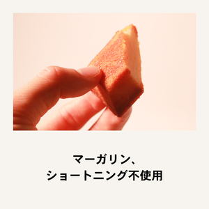 【極バター】贅沢フィナンシェ10個入り フィナンシェ