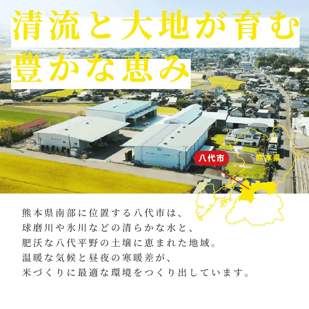 《令和7年産》くまさんの輝き 5kg×2袋 合計10kg  熊本県 八代市産 米 お米 精米 白米 国産