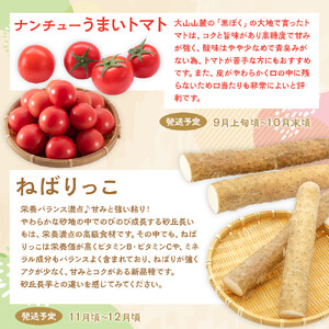 1015.【先行予約 2026年8月以降発送】 鳥取県北栄町から旬の美味しさをお届け！特産づくし【5回定期便】