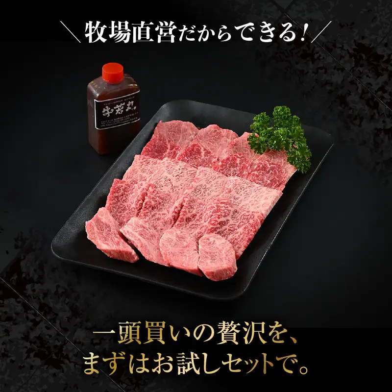 まるごと若狭牛！5部位お試し焼肉セット 300g（60g×5種）／ 焼肉 国産 ブランド牛 [aw009-a004]
