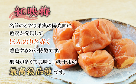 梅干し 650g うす塩味 福梅ぼし うめぼし 梅 うすしお うす塩 紅さし梅 紅映梅 梅 うめ ウメ 福井県 福井 