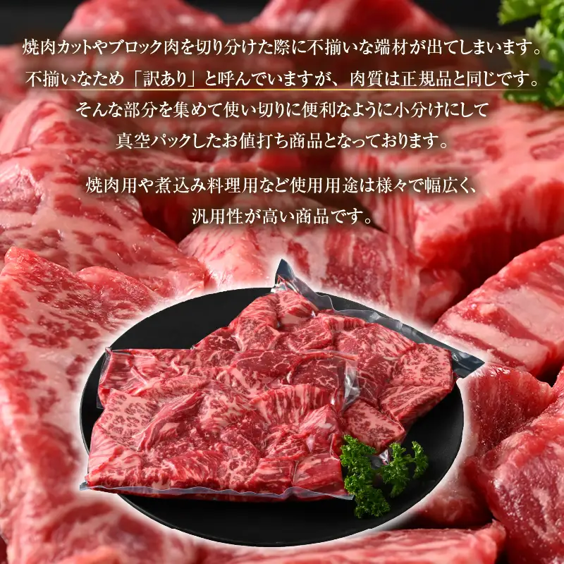 【訳あり】 若狭牛 赤身肉 500g（250g×2個）／ 焼肉 国産 ブランド牛 [aw009-a005]