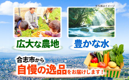 合志の旬のお野菜セット 15品から16品  野菜[AYAB112]
