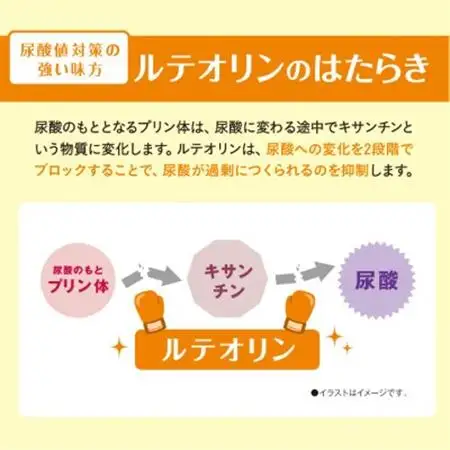 【機能性表示食品】DHC 高めの尿酸値対策 30日分 2個セット(60日分)　サプリメント【配送不可地域：離島・沖縄県】【1626739】