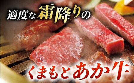 くまもとあか牛サーロインステーキと国産馬刺しユッケ贅沢セット 計約300g【有限会社 スイートサプライなかぞの】[ZBV093]