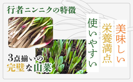 【ハーブとして最適】行者にんにくグリーン行者×4袋 （葉部）【2002001】