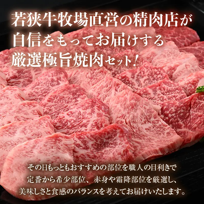 牛若丸厳選！若狭牛おまかせ極旨焼肉盛り合わせ 1kg ／ 焼肉 国産 ブランド牛 [aw009-d002]