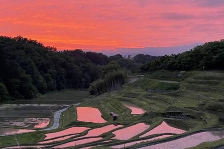 純米酒 よこね 720ml 2本入り | 純米酒 日本酒 お酒 酒 サケ アルコール 晩酌 ご褒美 お祝い 贈り物 四季 長野県 飯田市