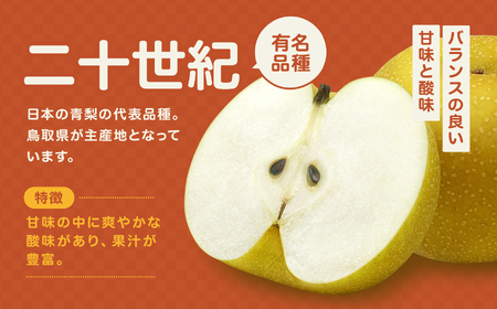 滴る程にジューシーな 梨 長野県産 なし 二十世紀 約10kg 秀品〈2026年9月上旬～9月末発送〉| 長野県 飯田市