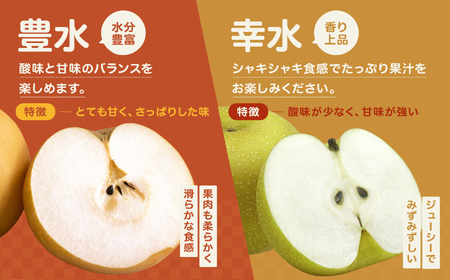 溢れる果汁 ジューシーな 梨 幸水 豊水 秀品 約10kg〈2026年8月下旬～9月中旬発送〉| 長野県 飯田市