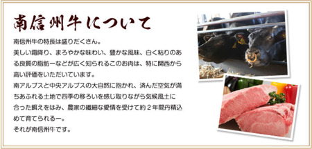 南信州牛 サーロインステーキ 800g ( 200g × 4枚 ) | 長野県 飯田市