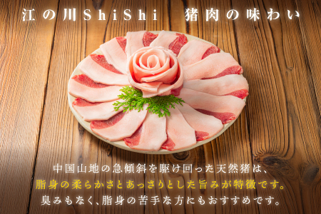 天然猪ローススライスすき焼き用500ｇ  いのしし肉 イノシシ肉 猪肉 猪 ロース ロース肉 スライス すき焼き用 すき焼き 鍋 500g 贈り物 贈答品 AI-8 ジビエ 猪鍋 江津市 島根県 江の川shishi